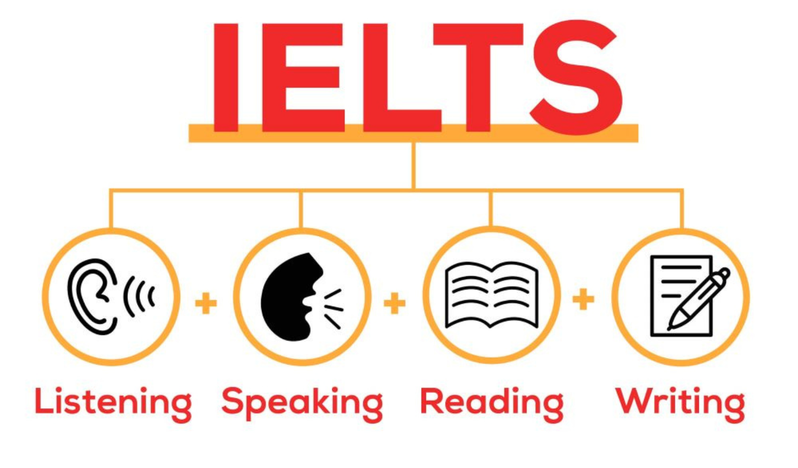 cac-phan-thi-cua-bai-thi-ielts