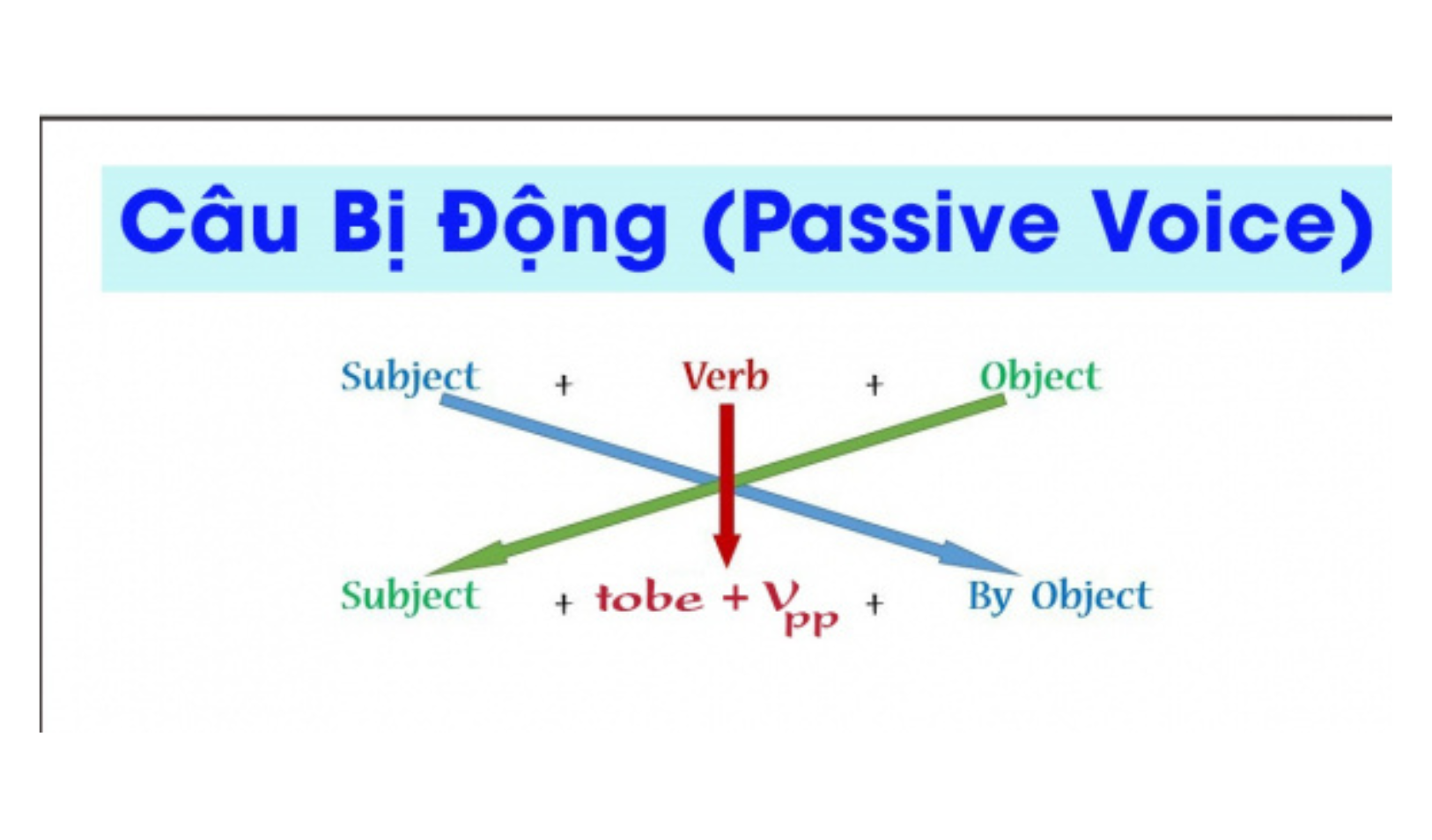 cau-bi-dong
