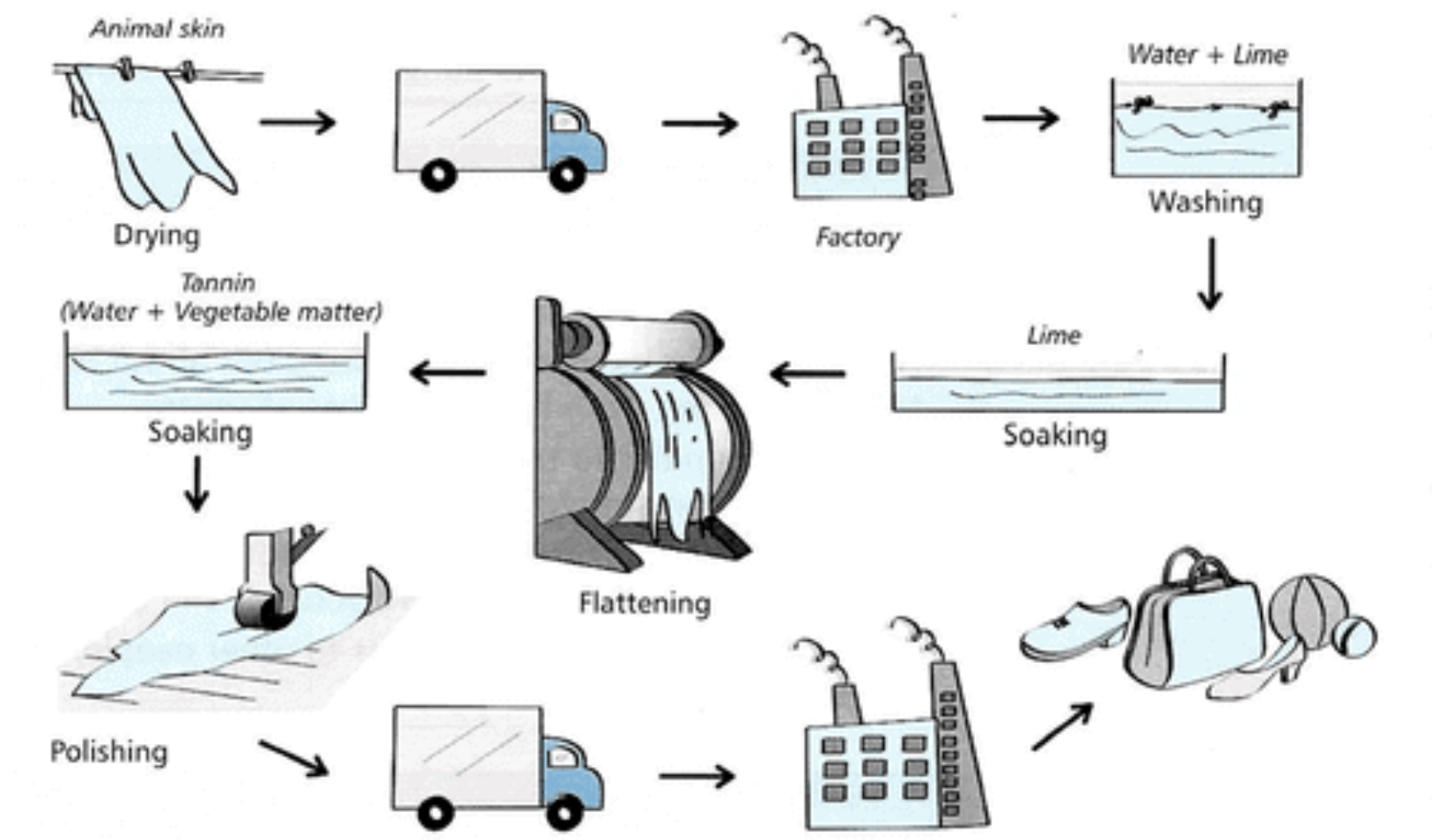 vi-du-ve-dang-Process-trong-Writing-task-1